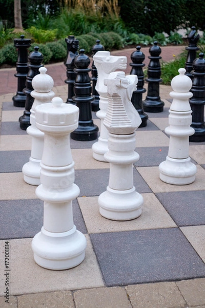 Obraz chess pieces