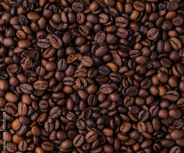 Fototapeta Mixture of different kinds of coffee beans. Coffee background