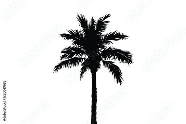 Obraz Palm Tree Silhouette Vector — High-Quality Black Icon
