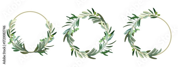 Fototapeta Set of green olive wreaths on a white background. Top view. Vector illustration, hand drawn.