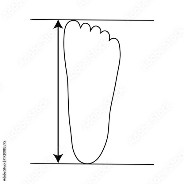Fototapeta Defining correct shoe size. Foot size. Vector Line flat outline icon illustration isolated on white background.