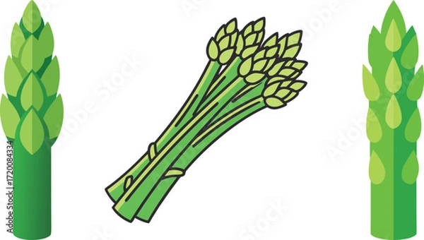 Obraz Illustration featuring bundles and individual stalks of fresh and vibrant green asparagus
