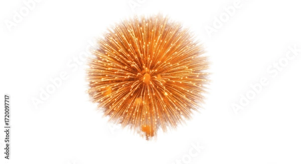 Fototapeta A vibrant burst of golden light emanating from a central point against a stark black background space on transparent background