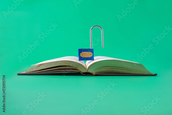 Fototapeta Padlock on the book. Information security concept.