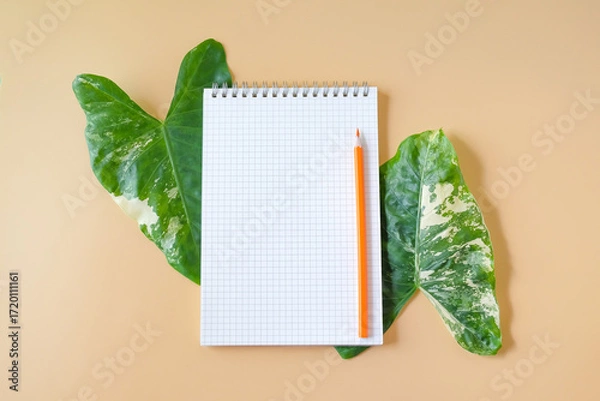 Fototapeta White paper with pencil and Tropical leaves on background.Top view.
