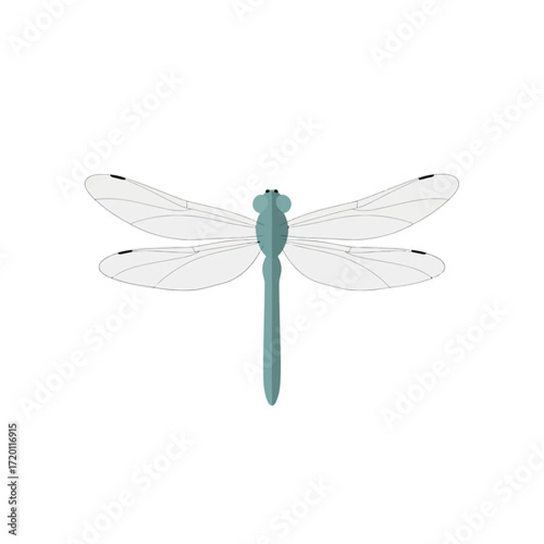 Fototapeta Elegant Dragonfly Illustration A Delicate Vector Design