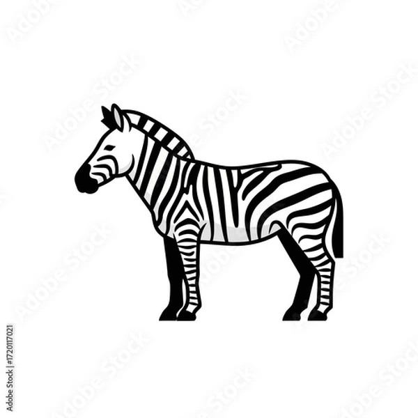 Fototapeta Stylized graphic illustration of a majestic zebra, showcasing its iconic black and white stripes. Perfect for educational materials and animal-themed design projects