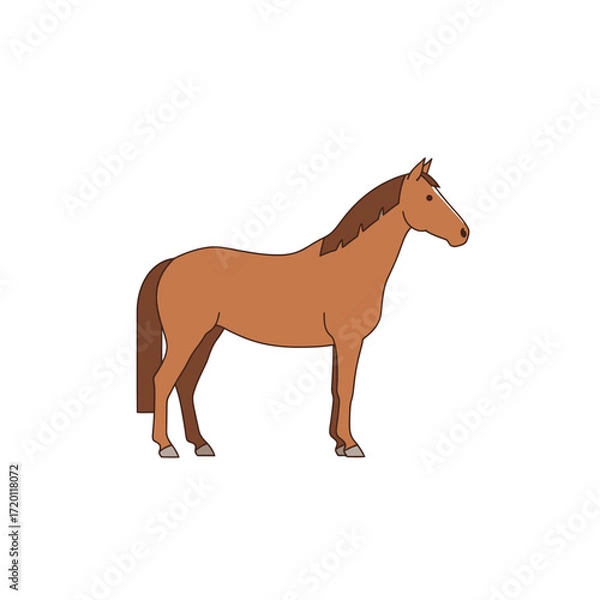 Fototapeta Vector illustration of a standing brown horse. A classic animal concept, showcasing its elegant form for various design projects and educational content