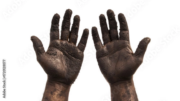 Fototapeta Close-up of a pair of dirty, rugged hands with palms facing up, covered in soil, grease, or grime.  png