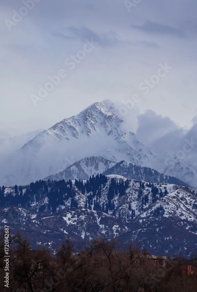 Fototapeta snow covered mountains