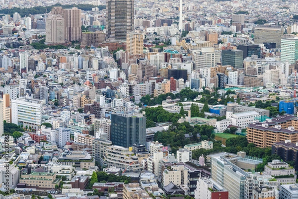 Fototapeta 東京の都市風景