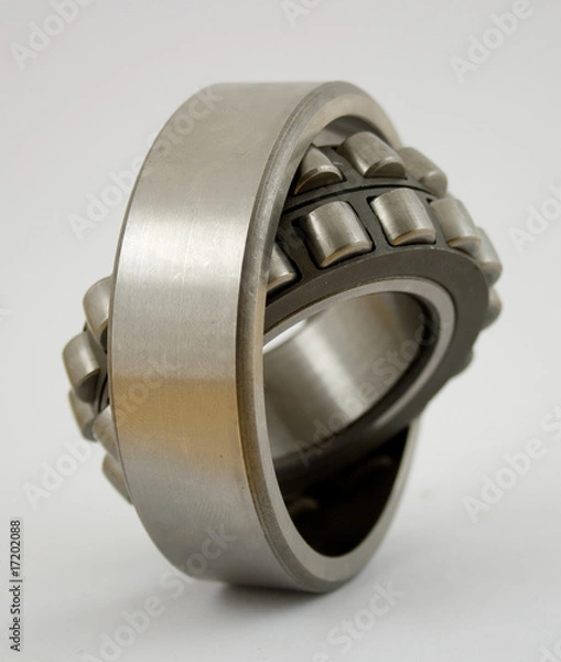 Obraz Bearing