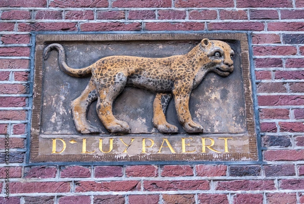 Fototapeta Antique facing brick with a leopard sculpture and name D'Luypaert (Leopard) on the exterior wall of an old house in the historic center of Amsterdam, Holland, The Netherlands, Europe