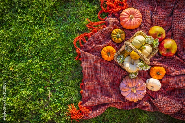 Obraz Autumn pumpkins and apples on picnic blanket