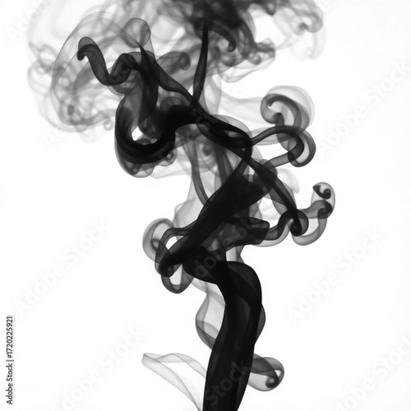 Obraz smoke on black  with transparent background PNG and JPEG image
