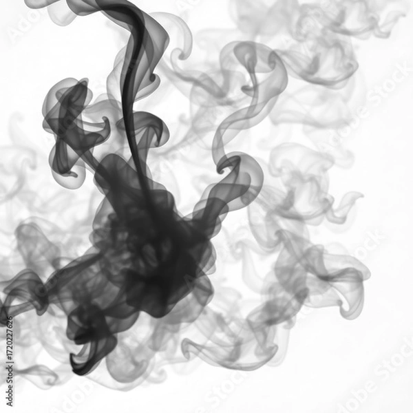 Obraz smoke on black  with transparent background PNG and JPEG image