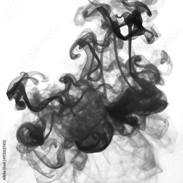 Obraz smoke on black  with transparent background PNG and JPEG image