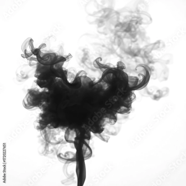 Obraz smoke on black  with transparent background PNG and JPEG image