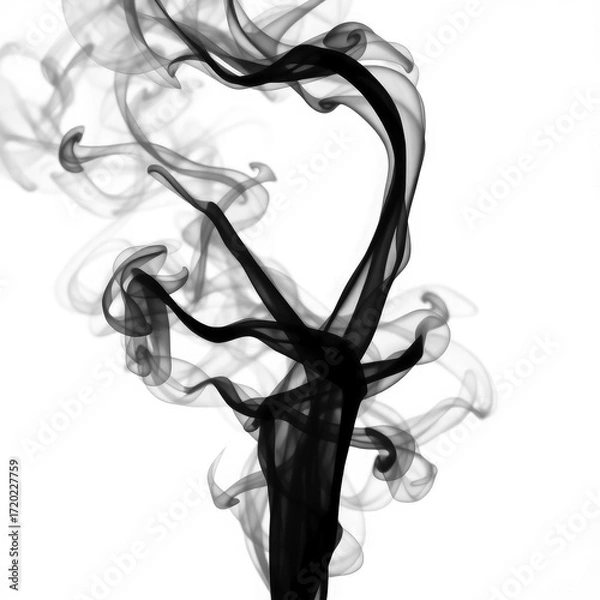 Obraz smoke on black  with transparent background PNG and JPEG image
