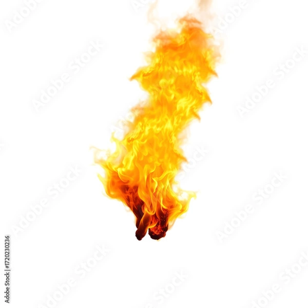 Obraz fire with transparent background PNG and JPEG image