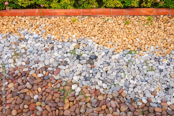 Fototapeta Pebble stone garden floor decoration background, Multicolor river pebblestone on the ground with green hedge in front yard area at home, Directly above view