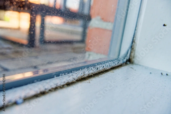 Fototapeta Window groove with moisture stain and dark mold trace