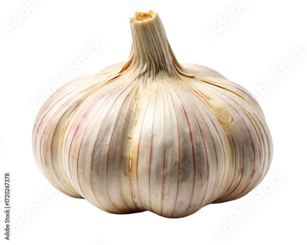 Fototapeta Whole Garlic Bulb with Visible Stalk and Purple Streaks on White Background food isolated on a transparent background