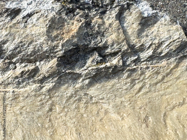 Fototapeta Rough textured rock surface with natural patterns and layers