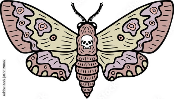 Obraz Hand drawn realistic hawk moth butterfly doodle illustration. Perfect for banner, poster, logo, sticker, label, sale. 