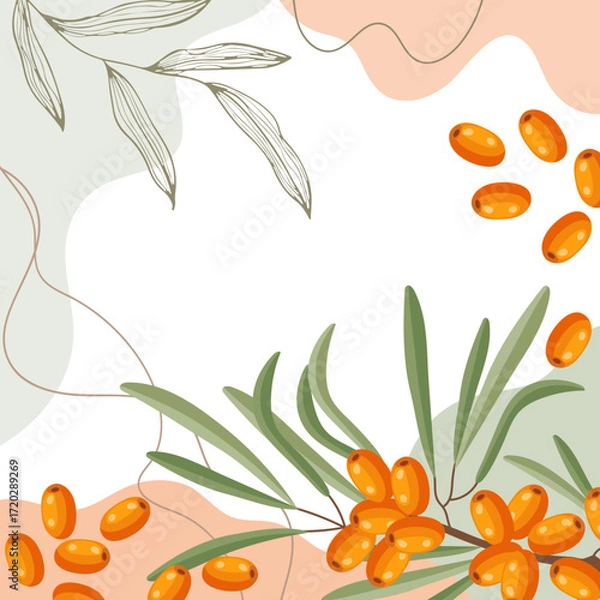 Fototapeta Sea buckthorn berries background. Composition of sea buckthorn berries with organic shapes and leaves on an abstract background. Card, banner, poster.
