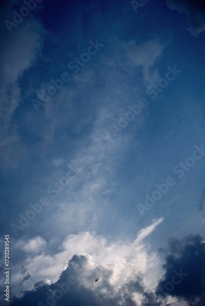 Obraz blue sky with layered clouds