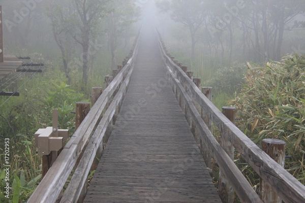 Fototapeta 知床五湖