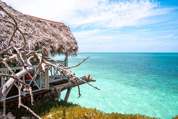 Fototapeta Tropical beach view with a straw hut overlooking the clear turquoise ocean