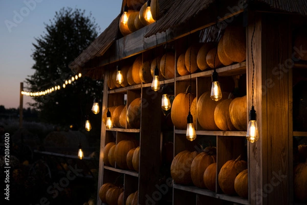 Obraz Atmospheric autumn evening with pumpkin house, illuminated by warm glowing string lights and vintage bulbs. Cozy seasonal mood for fall, harvest, farmers markets, Halloween Thanksgiving themes.
