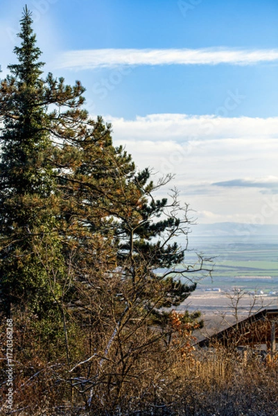 Fototapeta Natural landscape background for product placementNatural landscape background for product placement