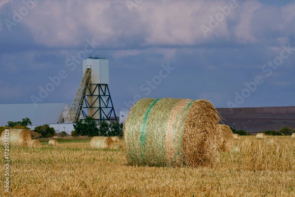Fototapeta Round hay bales on farmland in Saskatchewan, Canada, with large white industrial buildings and storage domes in the background under dramatic cloudy sky.