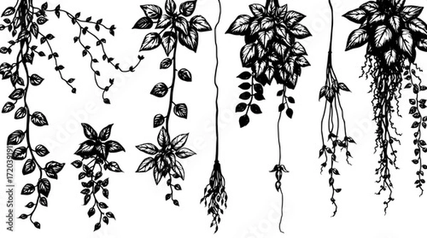 Fototapeta "A flat lay of hand-drawn black and white botanical illustrations, featuring trailing vines, leafy clusters, and hanging plants. Thick textured lines and shaded details create a naturalistic style, ar