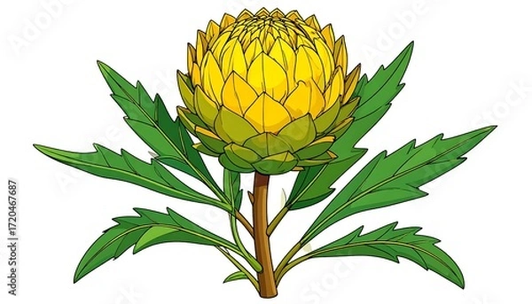 Obraz Vibrant Yellow Flower Detailed Botanical Illustration