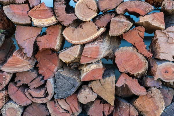 Fototapeta Stack of freshly cut and split firewood. Close-up, against a blue background. 