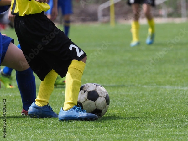 Fototapeta サッカー　フットボール