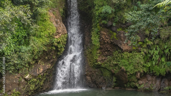 Fototapeta A picturesque tropical waterfall. Streams of white water flow down a sheer cliff into a turquoise lake. Thickets of green vegetation on the slope. Mauritius. La Vallée Des Couleurs Nature Park 