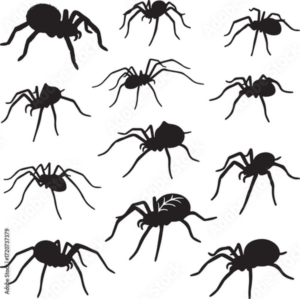 Fototapeta Spiders Silhouette Collection: A striking collection of spider silhouettes, meticulously detailed, creates a sense of mystery, perfect for design, illustration, and thematic projects.