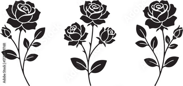Fototapeta Elegant Rose Silhouette: A trio of exquisitely drawn rose illustrations grace the scene, their intricate silhouettes casting a timeless allure, ideal for elegant design applications.