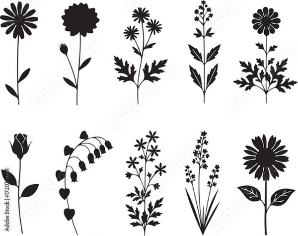 Fototapeta Botanical Blackout: A set of intricate black silhouettes of various flowering plants, each displaying unique petal formations and stem structures, perfect for botanical illustration and design.