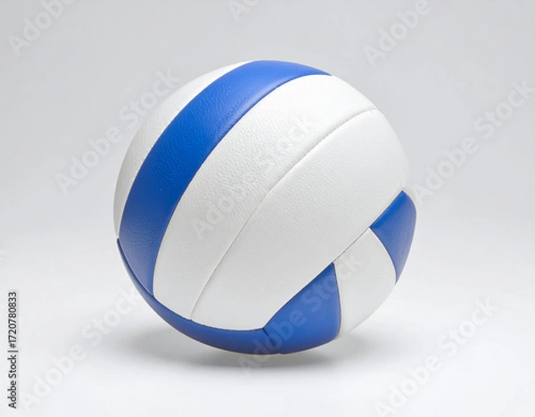 Obraz 스포츠-배구-공-배구공-피구공-한개