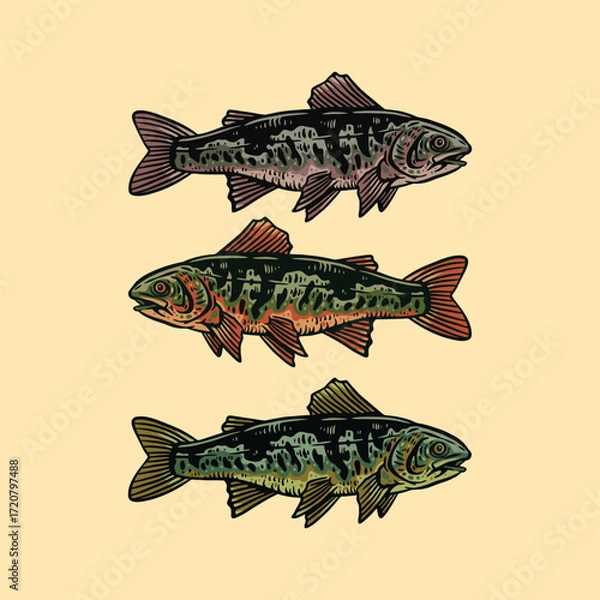 Obraz rainbow fish illustration vector design