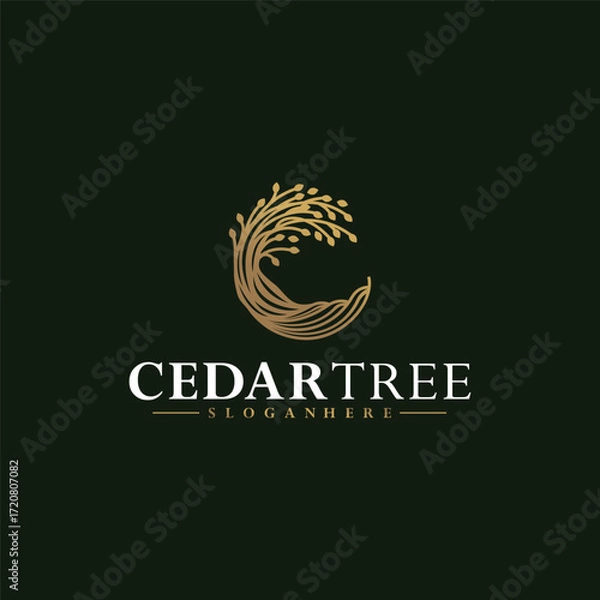 Obraz Cedar Tree luxury logo design ideas