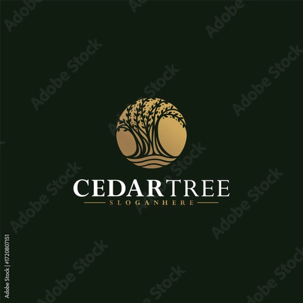 Obraz Cedar Tree luxury logo design ideas