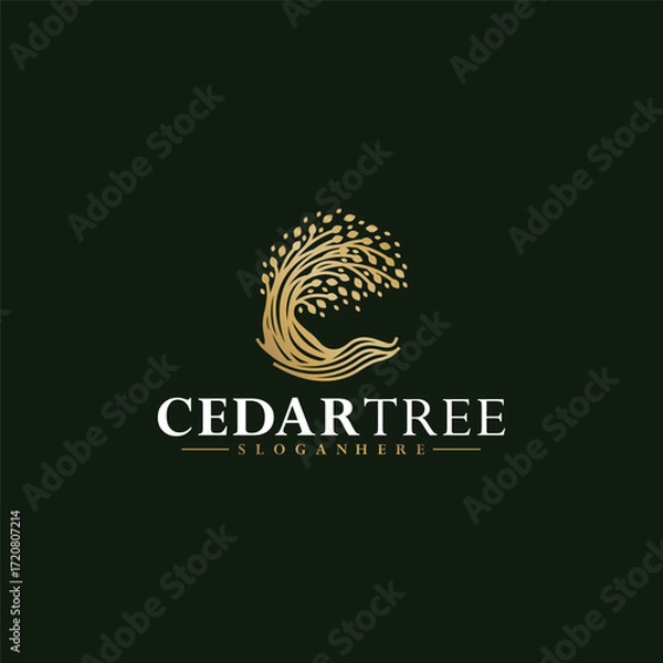 Obraz Cedar Tree luxury logo design ideas