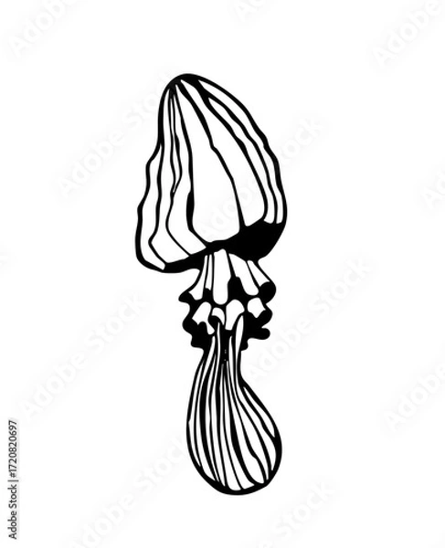 Fototapeta Vector illustration of a magic mushroom for witch's potions. Hand-drawn black and white graphic illustration for cards, notepads, stickers, and crafts.